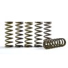 Hi-Temp Clutch Spring Kit HINSON CS189-6-0613 (set of 6)