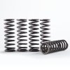 Kuplung rugó szett HINSON CS215-5-001 (replacement spring kit for H215)