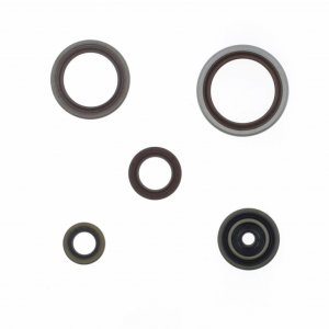 Engine Oil Seals Kit ATHENA